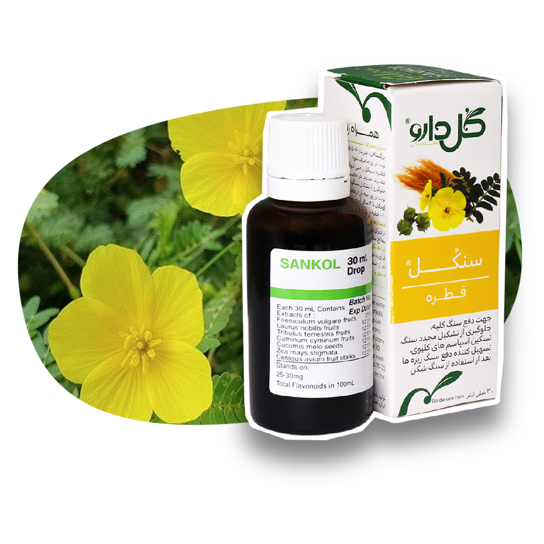 مای دارو - بهترین زمان مصرف قطره سنکل